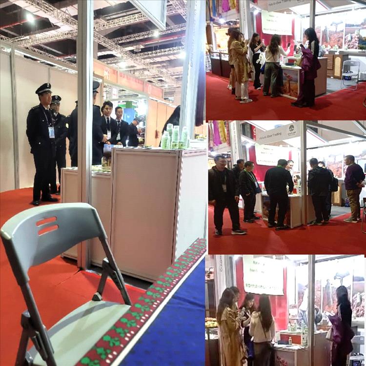 العشبة السقطرية.. حضورٌ يمنيٌّ أصيل في معرض شنغهاي الدولي الثامن