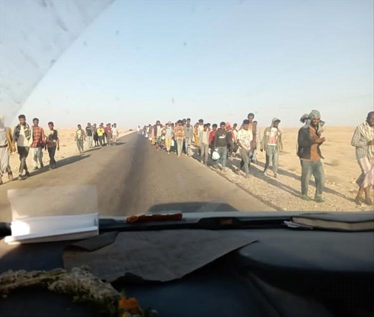 أعداد كبيرة من المهاجرين غير الشرعيين تصل إلى سواحل محافظة شبوة