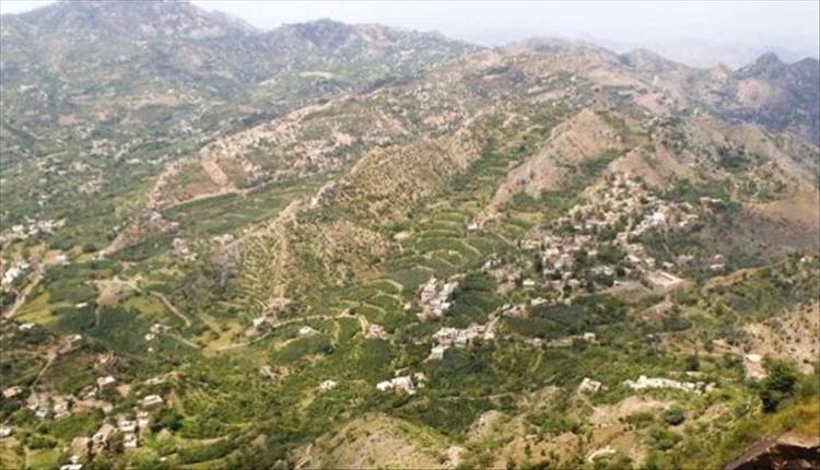 تعز.. مسلحون يهاجمون منزل شيخ قبلي في شرعب السلام بقنابل يدوية