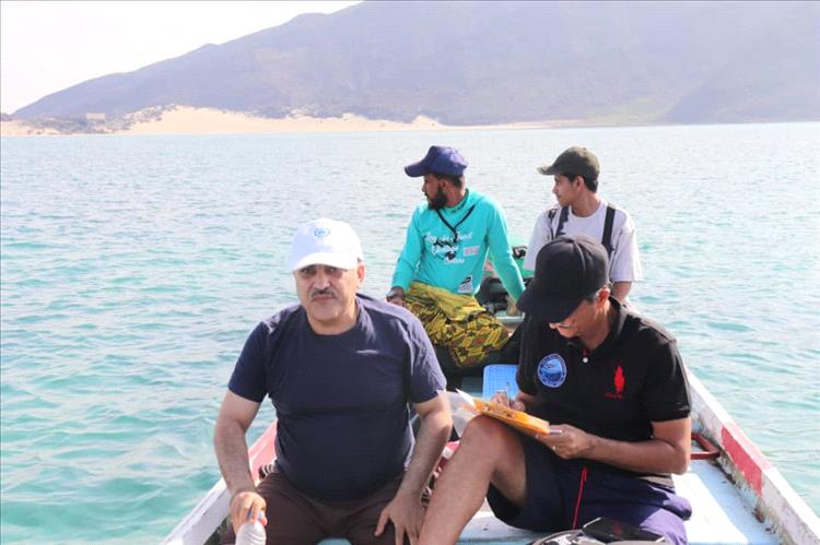 الهيئة الإقليمية (PERSGA) والهيئة العامة لحماية البيئة تنفذ دراسة للشعاب المرجانية في جزيرة العزيزي