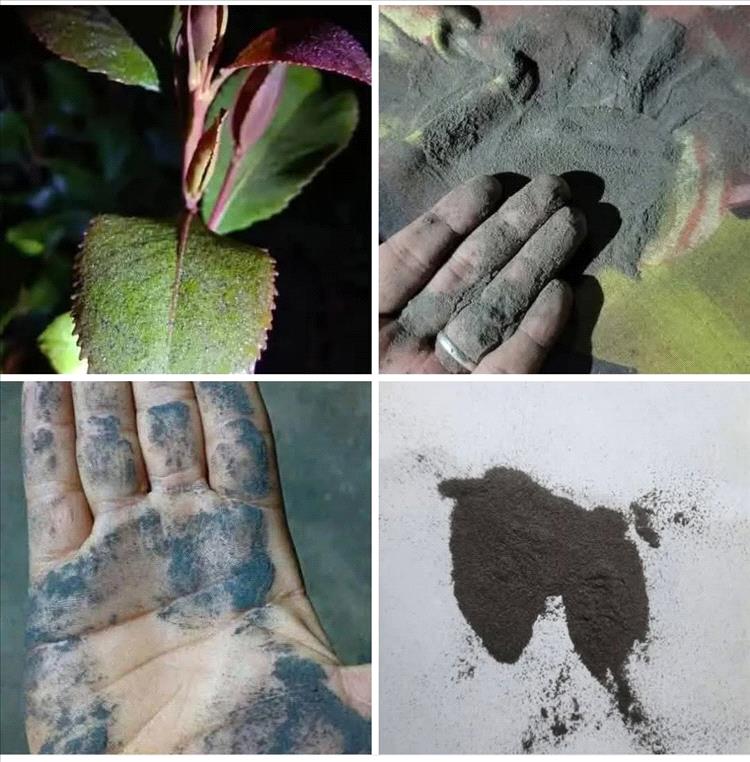 تحذير: نشاط بركاني في إثيوبيا قد يرسل موجات غبار إلى اليمن ويهدد مرضى الربو