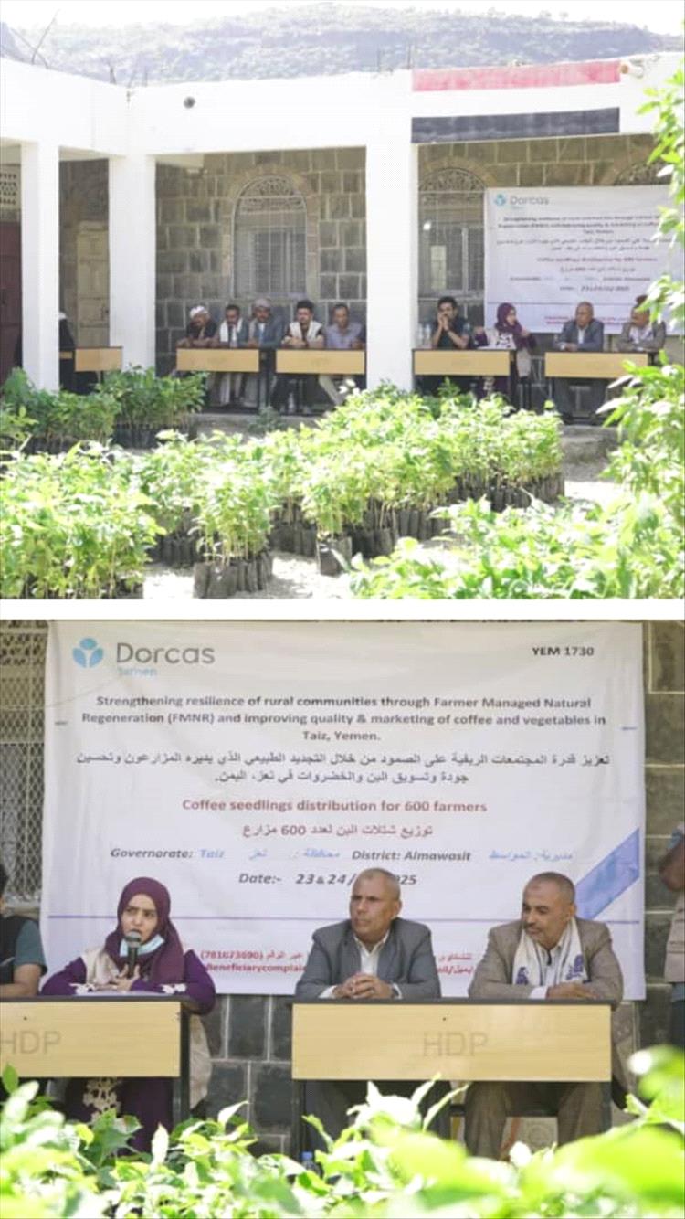 تدشين توزيع شتلات البن لعدد 600 مستفيد _ بني حماد _ مديرية المواسط