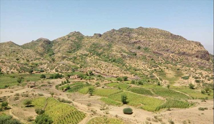 خلافات أسرية تنهي حياة امرأة على يد زوجها