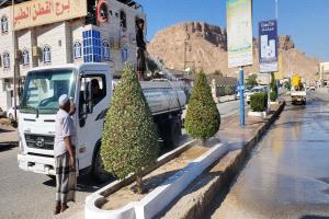 وحدة النظافة و التحسين بمديرية القطن تقوم بتقليم الأشجار و رشها و تنظيف الأرصفة بالماء