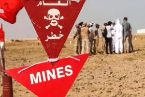 الاتحاد الأوروبي: الألغام ومخلّفات الحرب تفاقم معاناة اليمنيين وتعيق جهود التعافي