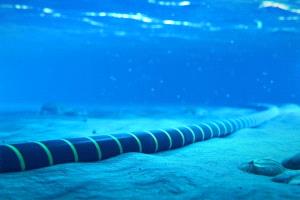 خبير اتصالات: دعم وزارة الاتصالات ضرورة لحماية كابلات الإنترنت من تهديدات الحوثيين