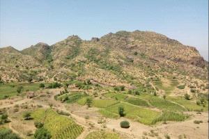 خلافات أسرية تنهي حياة امرأة على يد زوجها