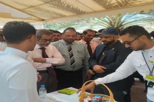 جامعة العلوم والتكنولوجيا – حضرموت تحتفي باليوم العالمي للمحاسبة