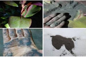 تحذير: نشاط بركاني في إثيوبيا قد يرسل موجات غبار إلى اليمن ويهدد مرضى الربو