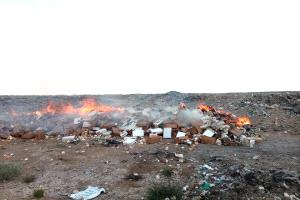 صحة البيئة بالمنصورة تتلف 5 أطنان من مواد غذائية منتهية الصلاحية