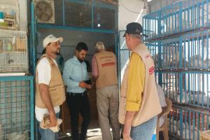 إغلاق مسالخ وبسطات مخالِفة في المنصورة ضمن حملة رقابية موسعة