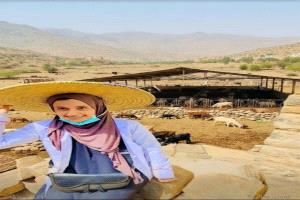 شابة من زمنٍ آخر.. كيف صنعت لجين الوزير “ثورة هادئة” في زراعة اليمن وثروته الحيوانية؟