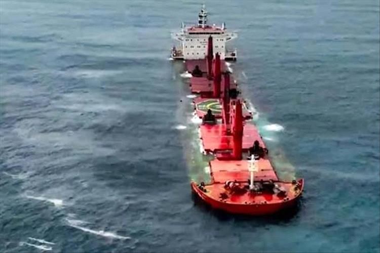 الحوثيون يتبنون الهجوم على سفينة شحن ترفع علم هولندا