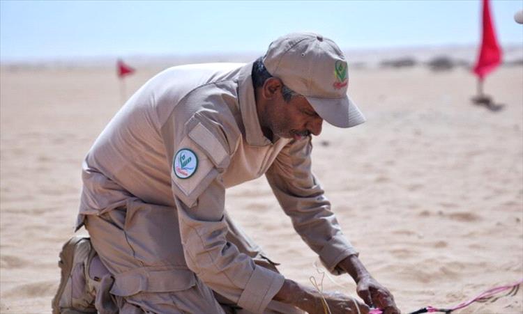"مسام" ينزع أكثر من 1300 لغم حوثي خلال أسبوع