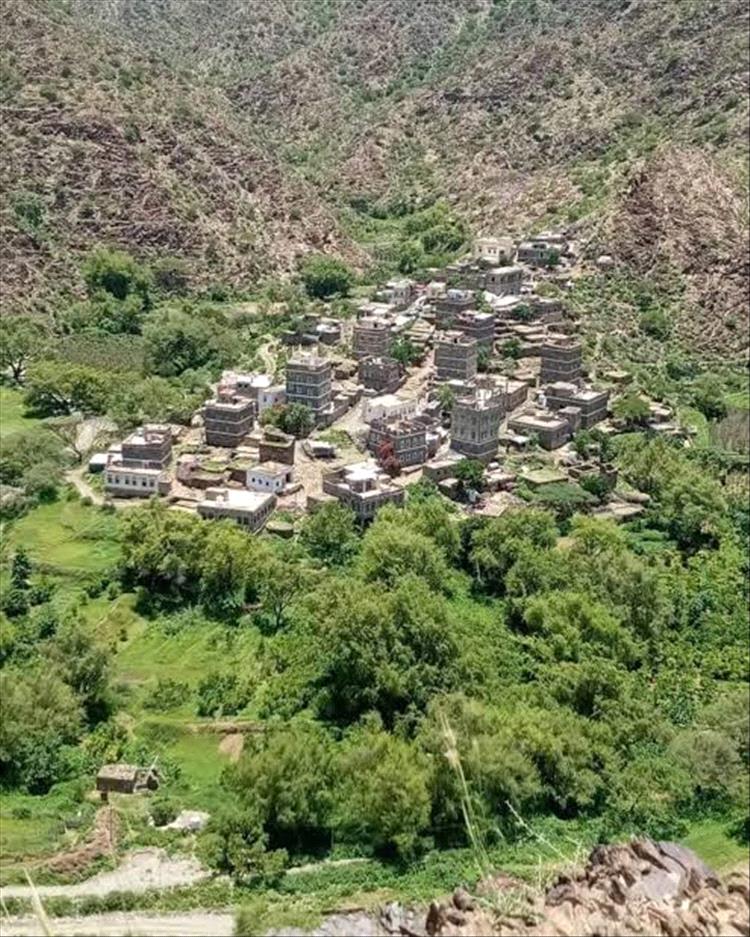 مواطنو مديرية سباح يافع يطالبون برنامج الغذاء العالمي النظر لمديريتهم
