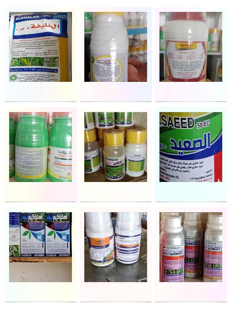 تحذير من خلط المبيدات الزراعية: خطر يهدد صحة الإنسان والبيئة