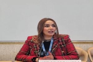 باسندوة تؤكد في مجلس حقوق الإنسان على تمكين المرأة وتحذر من استمرار انتهاكات الحوثي