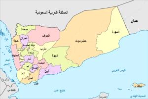 أولاد البيض في مواجهة علنية.. عمرو يرد على شقيقه هاني حول حضرموت والجنوب العربي