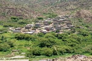 مواطنو مديرية سباح يافع يطالبون برنامج الغذاء العالمي النظر لمديريتهم