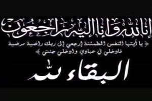 قائد المقاومة الشعبية الجنوبية النقيب عماد الديواني يُعزّي المهندس الميسري بوفاة ابن عمه