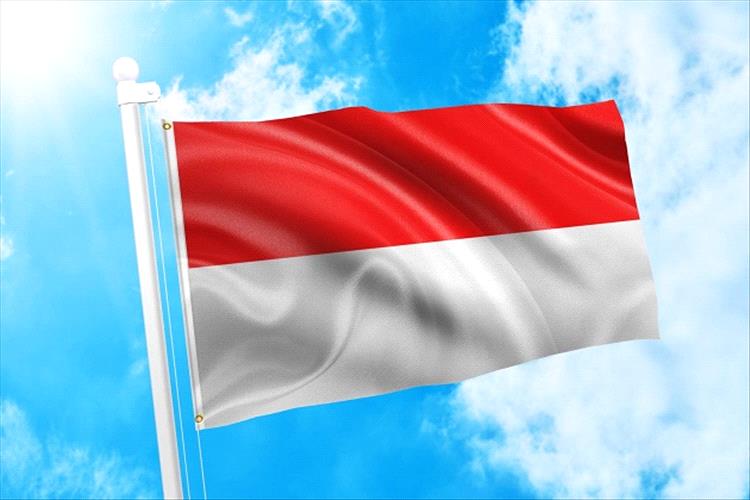 إندونيسيا تعلن قرب افتتاح قنصليتها في العاصمة المؤقتة عدن