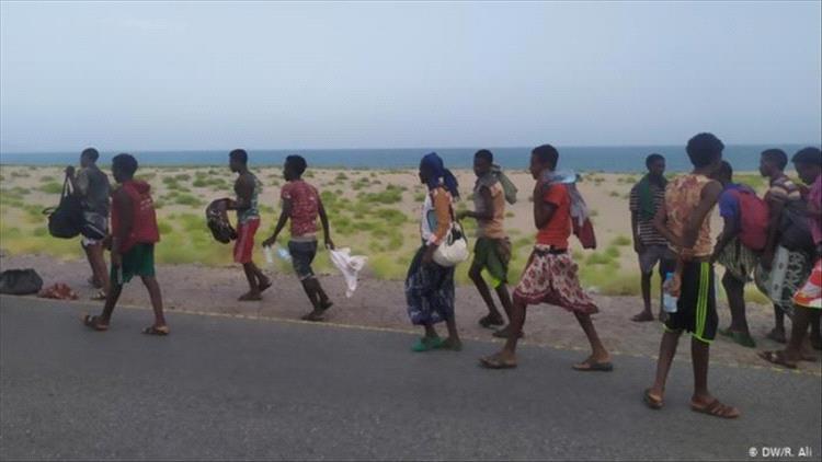 تقرير أممي: نحو سبعة آلاف مهاجر أفريقي وصلوا اليمن خلال أغسطس الماضي