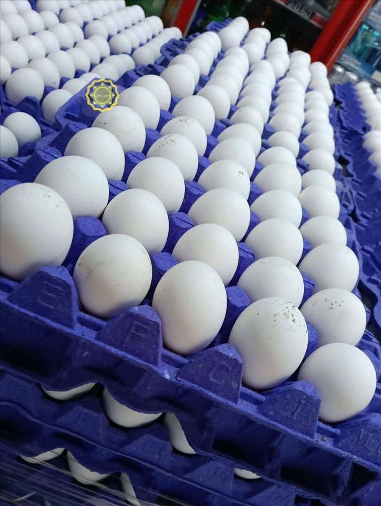 "طبق بيض مكسور يشعل ثورة أخلاقية في سوق شعبي بصنعاء"
