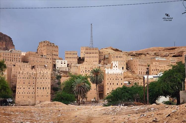 الشيخ باحنحن: حوطة الفقيه علي مدينة التاريخ والثقافة والتسامح والاصطفاف الوطني خلف قيادة المحافظ ابن الوزير