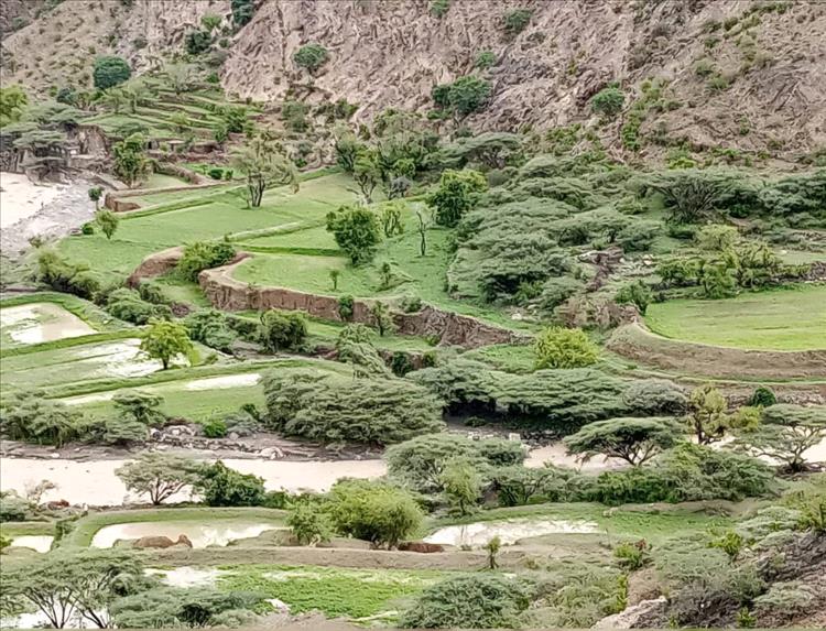 مأساة في ردفان : وفاة شقيقين غرقًا في منطقة نمرة الريفية