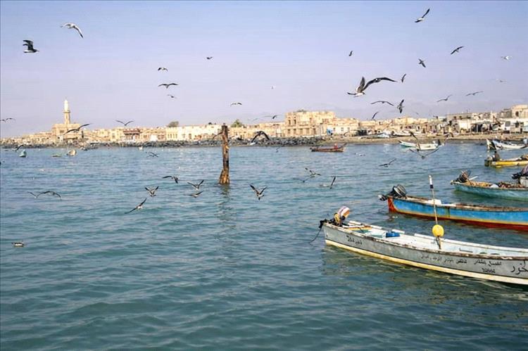 شقرة.. صبر وكفاح وسط معاناة يومية...