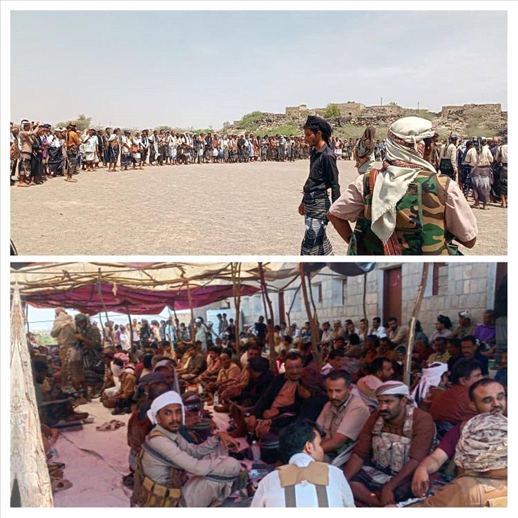 قبيلة "آل باهدى" تُحكم "آل حنش" لإنهاء قضية خلاف سابقة بأبين