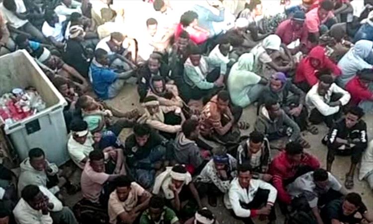 ضبط 564 مهاجراً إثيوبياً دخلوا البلاد بطرق غير شرعية في المهرة