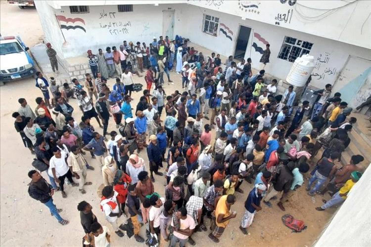 المهرة.. وصول 564 مهاجراً إثيوبياً إلى مديرية شحن