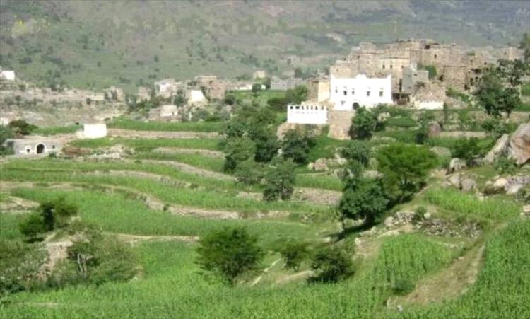 جريمة غامضة بإب.. مقتل امرأة طعنًا واختفاء ابنتها