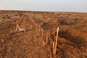 مشروع "مسام" ينزع أكثر من 555 ألف لغم وذخيرة في اليمن منذ انطلاقه