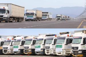 وصول 20 شاحنة مساعدات غذائية مقدمة من مركز الملك سلمان للإغاثة إلى عدن