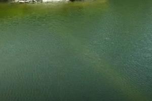 صعدة.. وفاة 3 أطفال غرقًا بعد يومين من فاجعة مشابهة في تعز