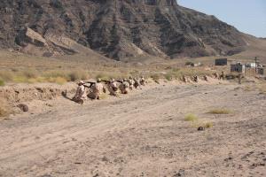 قوات العمالقة تنفِّذ تمرينًا تكتيكيًّا جديدًا