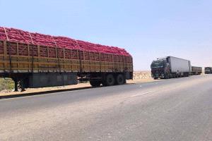 مسلحون قبليون يحتجزون شاحنات بشرق حضرموت