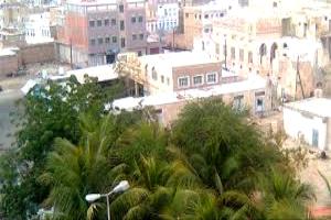 البعوض يفتك بأبناء رضوم.. مناشدات عاجلة لإنقاذ الأهالي من كارثة صحية تهدد النساء والأطفال وكبار السن