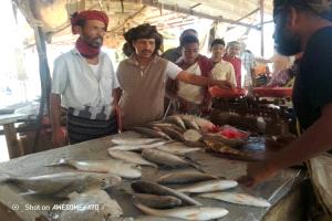 حملة رقابية لمكتب الصناعة بميفعة لضبط أسعار وتخزين الأسماك في السوق المركزي