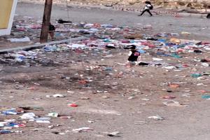 كارثة بيئية تحاصر مدرسة في الشعب… طلاب بين القمامة والكلاب الضالة