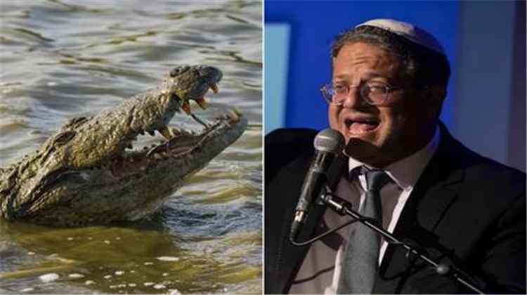 ما قصة التماسيح التي كادت تصل إلى سجن إسرائيلي في النقب ؟