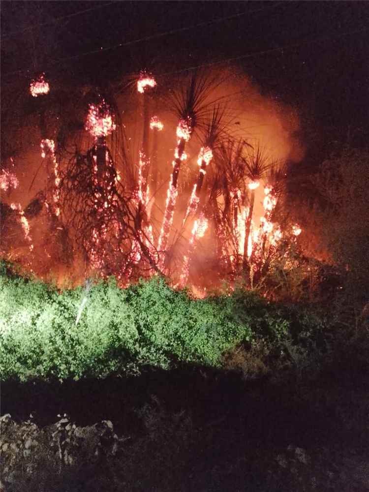 اللواء السادس بدرع الوطن يشارك في إخماد حريق هائل في إحدى المزارع بمديرية القطن