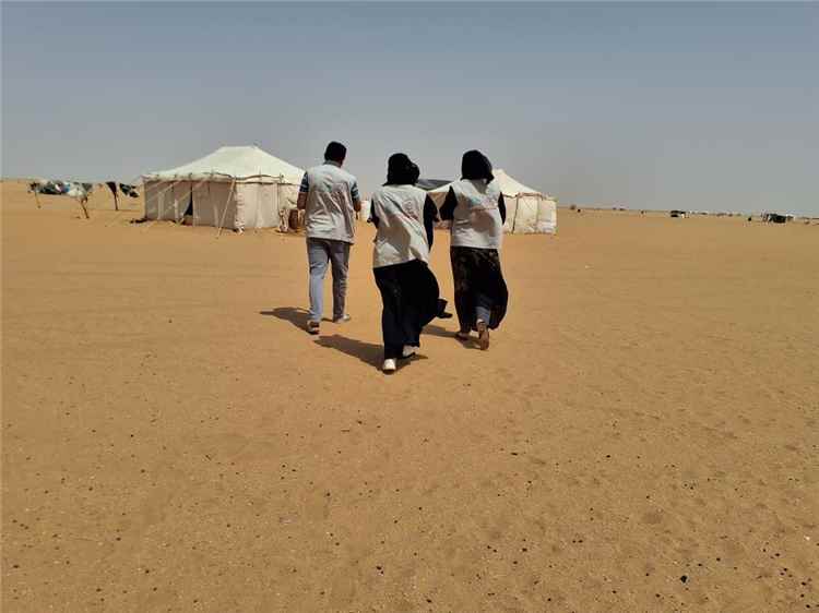 تواصل أعمال الفترة (19) من الجولة الثالثة لمسح ميزانية الأسرة 2025/2026 في الجوف