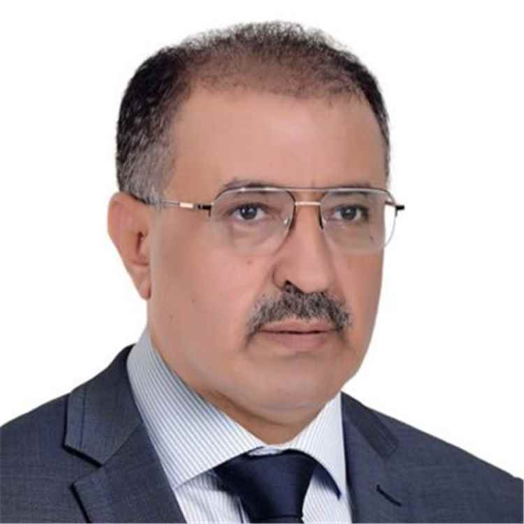 عضو برلماني: توحيد الجبهة العسكرية مسؤولية مجلس الدفاع وقيادة الجيش وليس الأحزاب