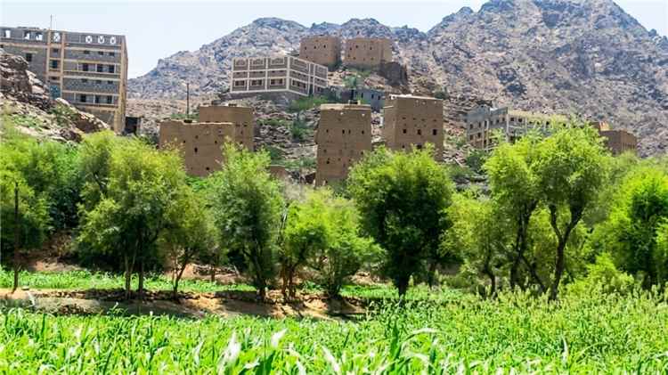 أهالي وادي عدس بشبوة يناشدون شركة "يو" لفك عزلتهم الرقمية