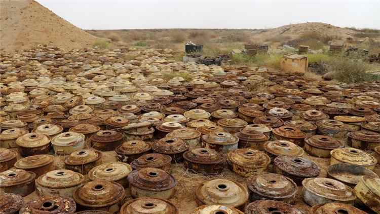 مركز المخا: ألغام الحوثيين تقتل وتصيب نحو 12 ألف مدني في اليمن خلال عشر سنوات