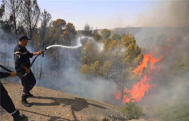 الجزائر تسجل 73 وفاة جراء حرائق الغابات ، ودفن جماعي لـ39 ضحية في ولاية جيجل
