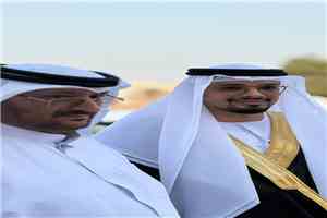 تهنئة بمناسبة زفاف الشاب أحمد أنيس يسلم السعيدي في مدينة العين بالإمارات